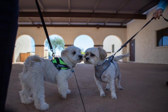 2026 Pet Blessing